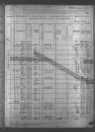 census 1880-n328