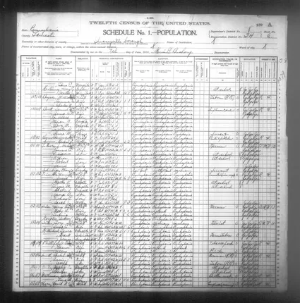 Possible Minnie Schubiger, Quarryville census, 1900