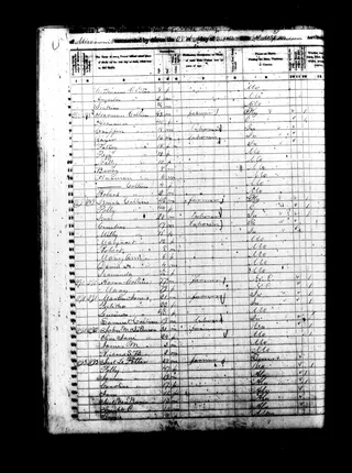 1850-ozark-n48