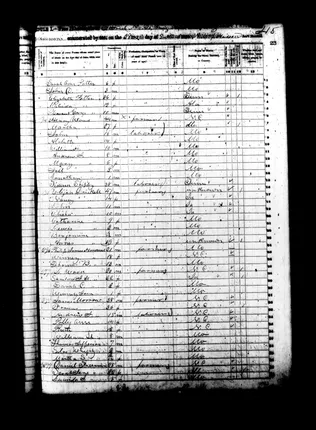 1850-ozark-n49
