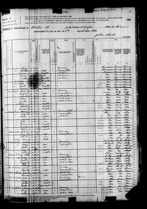 Henry Wood census neighborhood, 1880 - image 648