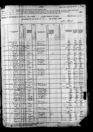 Henry Wood census neighborhood, 1880 - image 650