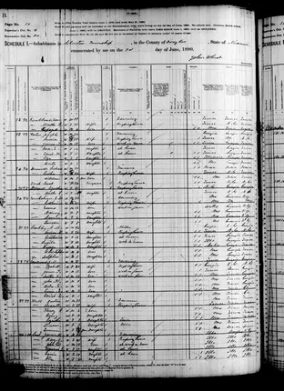 Henry Wood census neighborhood, 1880 - image 651