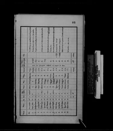 1724 Louisiana census - archival copy, frame 497