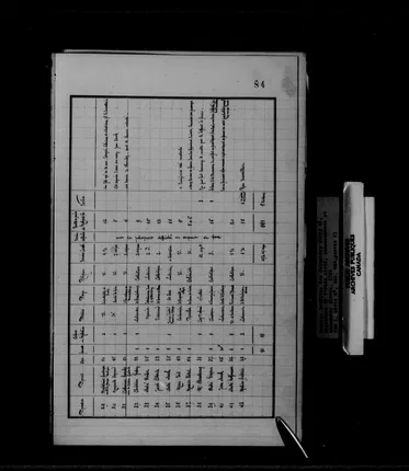 1724 Louisiana census - archival copy, frame 499