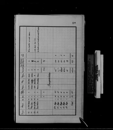 1724 Louisiana census - archival copy, frame 501