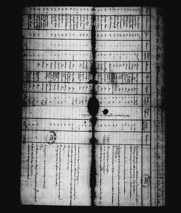Original 1724 Louisiana census - household table
