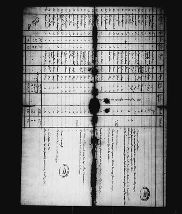 Original 1724 Louisiana census - household table